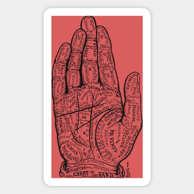 Palmistry Magnet by goodieg